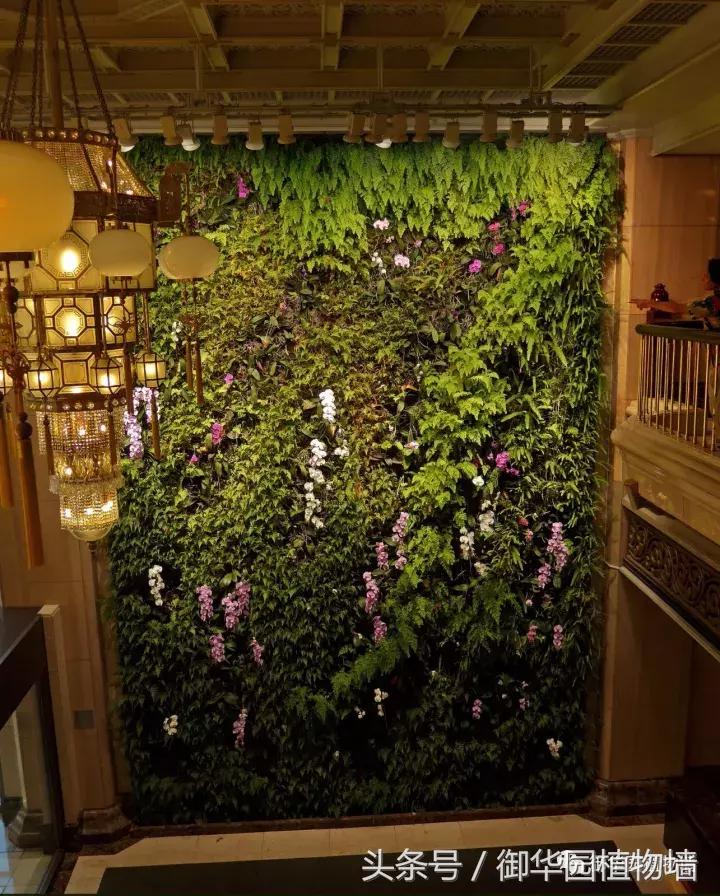 他曾说过：每一面植物墙都是一个花园……