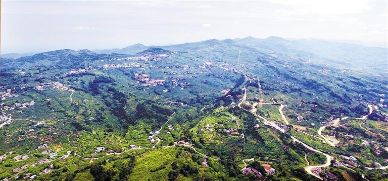 成都三圣乡最新规划效果图,成都未来发展规划三圣乡板块