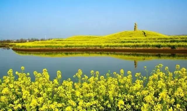 今天起，临沂要大变了！这辈子我都不会后悔留在了临沂！