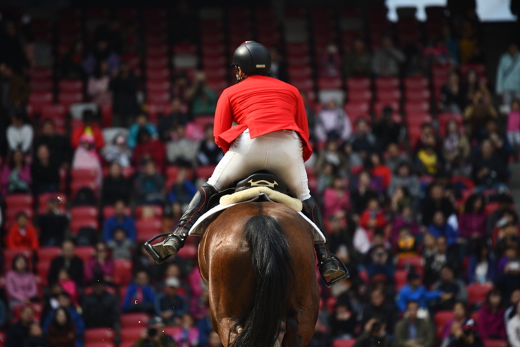 一场完美的绝地反击,尼康d850各镜头测评