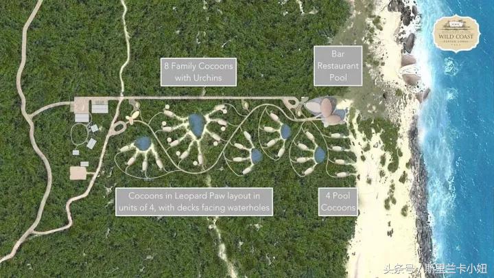 罗莱夏朵在中国性价比最高的酒店,国内的罗莱夏朵酒店