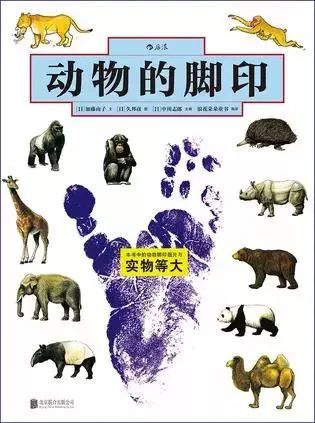 豆瓣9分以上的文学书,豆瓣9.0高评分书单推荐