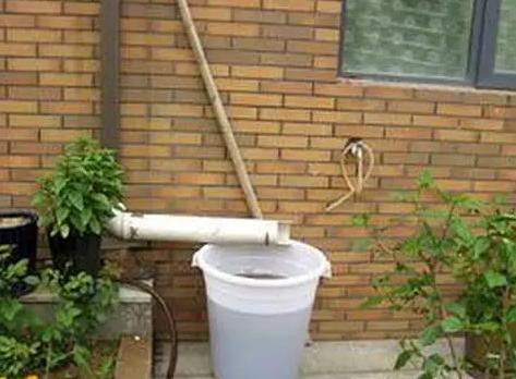 柴米油盐酱醋茶，养花效果不是一般得强！