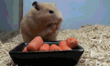 美少女眼睛突出,美少女也有黑眼圈