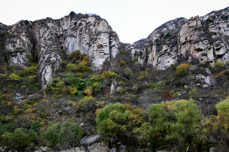 尼康d850选择首次曝光,尼康d850可以碾压同价格的微单吗