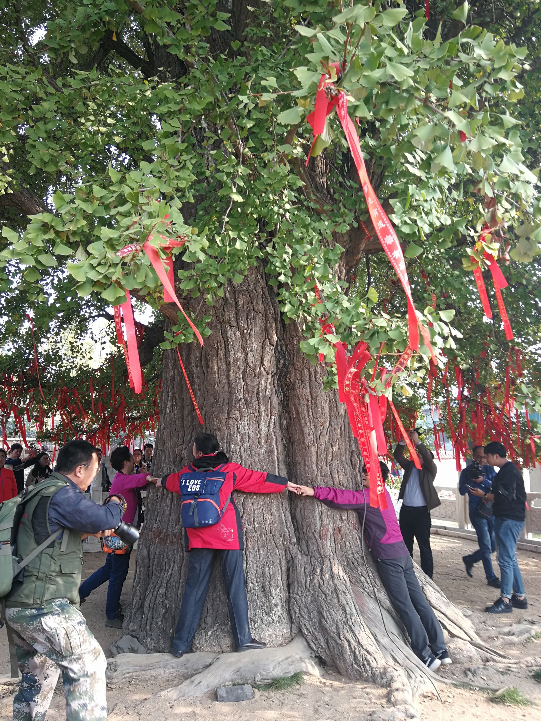 关于代森锰锌你到底了解多少,关于槲皮素你了解多少