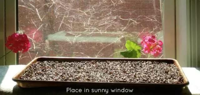 选对枕头夜晚睡得香白天精神佳,选对枕头有助睡眠