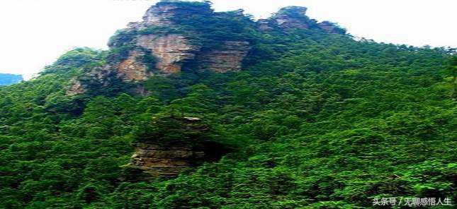 山西省长治市长治县安全教育平台,山西省长治市长治县公安局局长