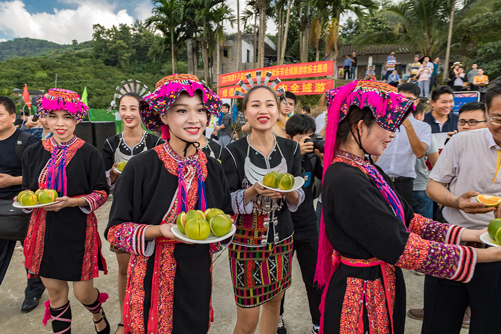 琼中绿橙发布会,琼中绿橙采摘旅游季
