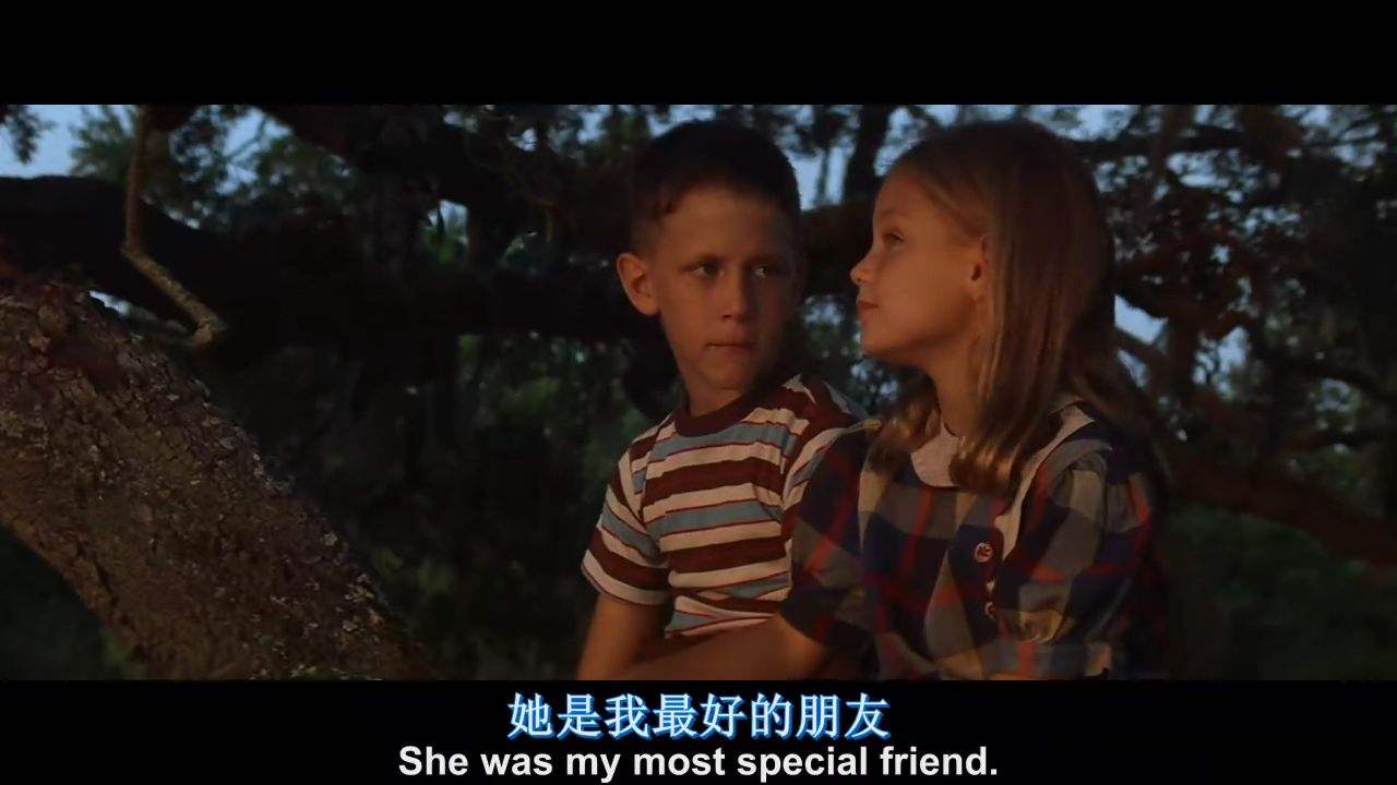 apromiseisapromise是俚语吗,欧美经典电影阿甘正传免费