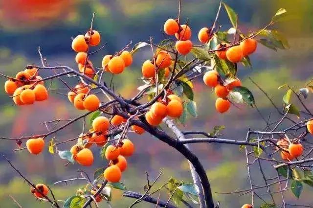 青岛最美地铁,青岛最美九大风景区