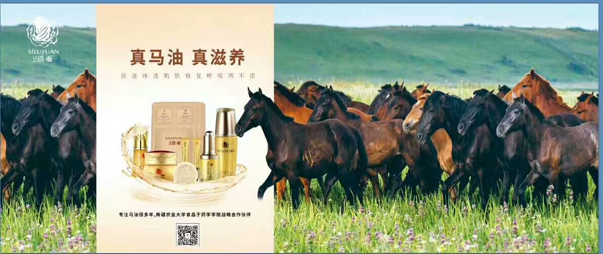 马油创始人,丝路源马油