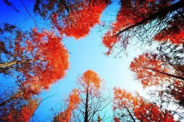 青岛最美地铁,青岛最美九大风景区