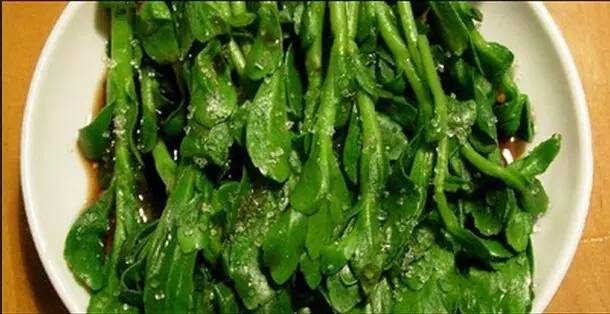 开春挖野菜教你轻松识别18种野菜,您知道春季最养肝护肝的野菜吗