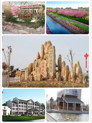 盐城踏青赏花攻略,盐城春暖花开一日游攻略