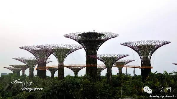 你从来没有留意过的中转站，可能比目的地更好玩！