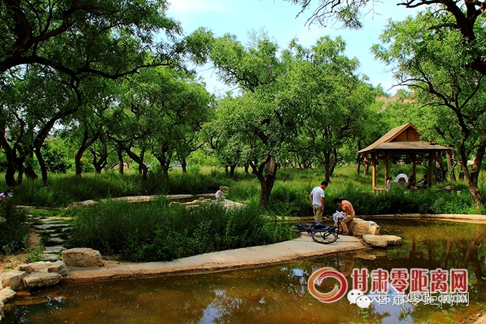 兰州安宁区十大旅游景点排名,兰州仁寿山风景区图片