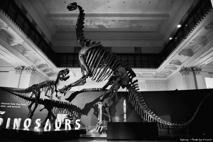 悉尼亲子游记,悉尼游记