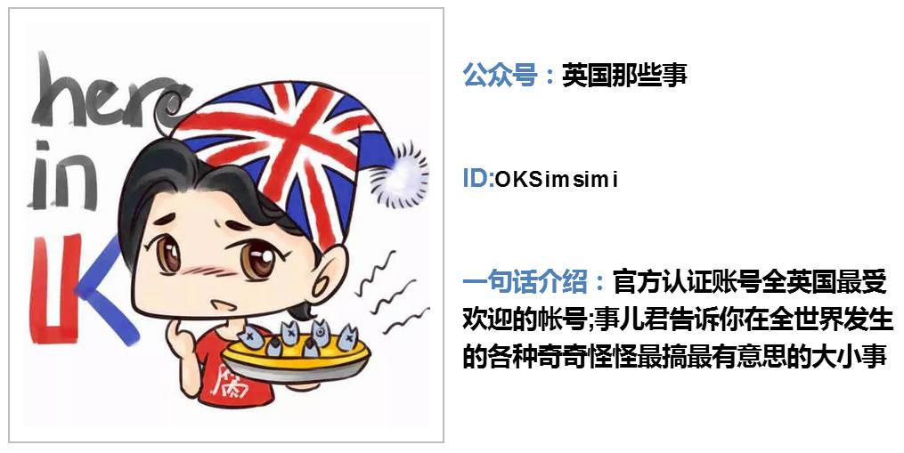 你还在做地方号,这十个号已经盯上了海外|小二诚荐