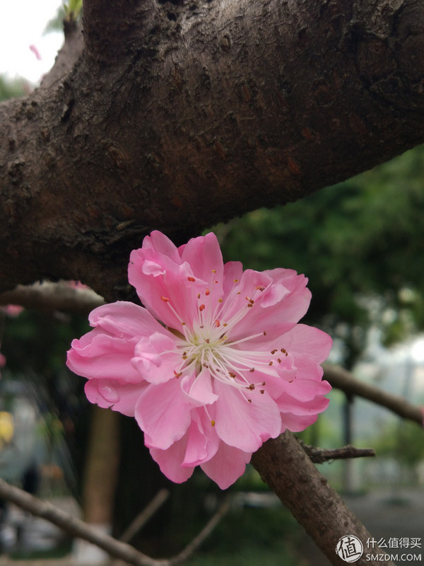 小米5测评视频,小米5使用体验感受如何