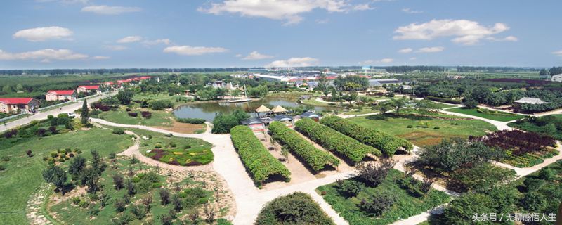 山东省潍坊市昌邑市柳疃镇,山东省潍坊市昌邑市地图