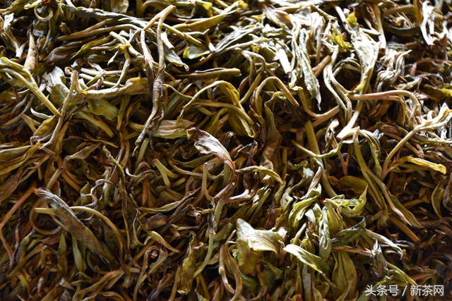 茶叶酸涩怎么回事,茶叶涩味重的原因是什么呢