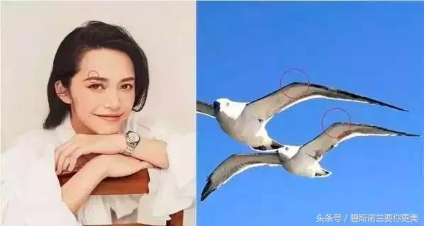 别再画一字眉了！秋波眉、海鸥眉都很美！