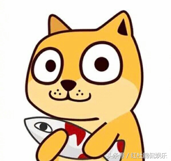 双十一，比起衣服化妆品，米面油日常消耗品更吸引我，这病怎么破