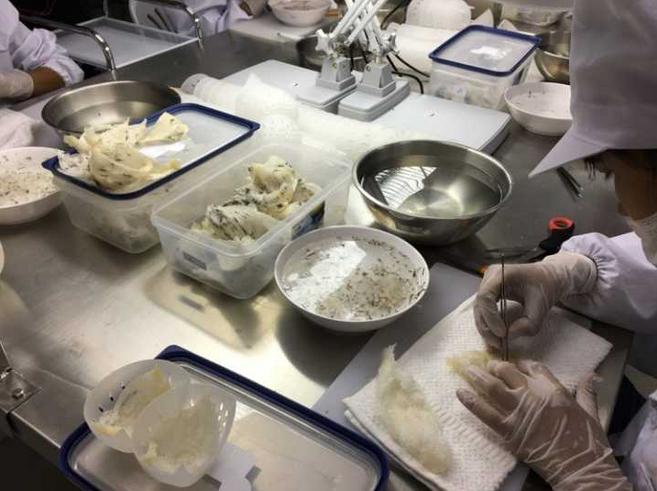 泰国燕窝跟印尼燕窝区别,泰国燕窝比中国便宜