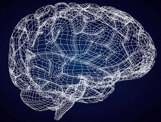 爱因斯坦大脑与众不同的奥秘所在,爱因斯坦大脑为什么比较聪明