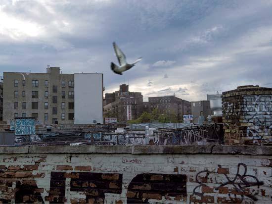 纽约时报全球50个必去之地,纽约时报最佳旅游省份