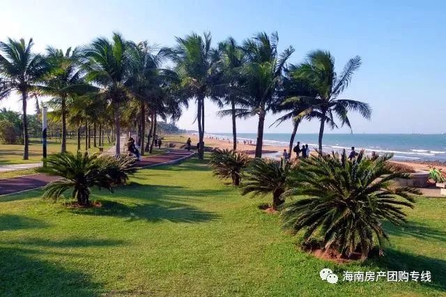 海口是一座美丽的城市,海口比较繁华的地段