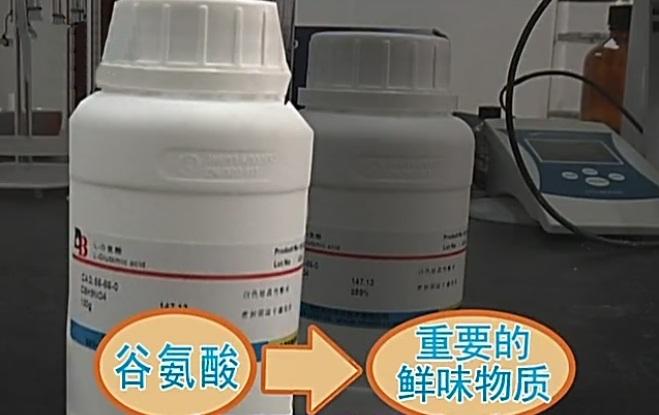 邓排骨营养汤锅怎么样,砂锅与电压锅炖汤哪个营养更好