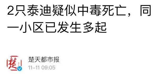 狗狗误食整个火腿肠怎么办,狗狗吃毒香肠怎么办