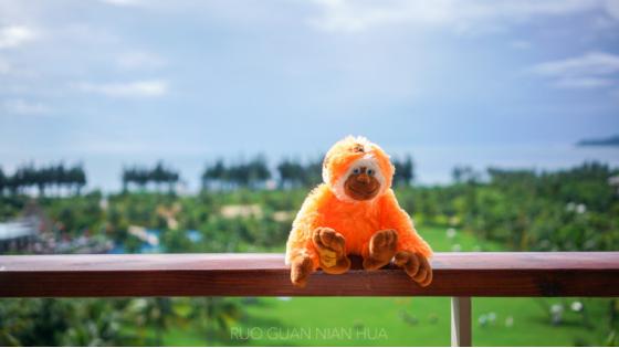 三亚送的14个免费海上游玩项目,三亚必买10件礼物