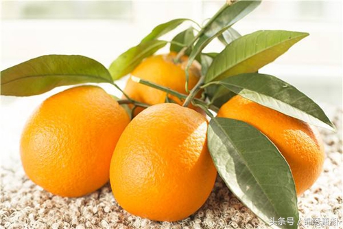 衡南县湘黄鸡,衡南县的湘黄鸡