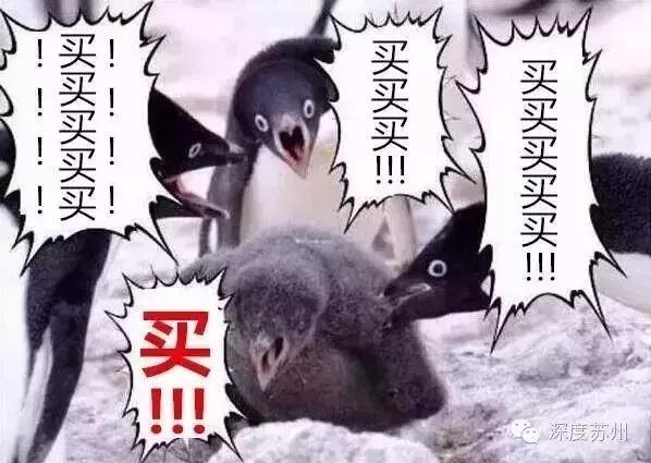 双11消费地区排行榜,双11消费城市排名