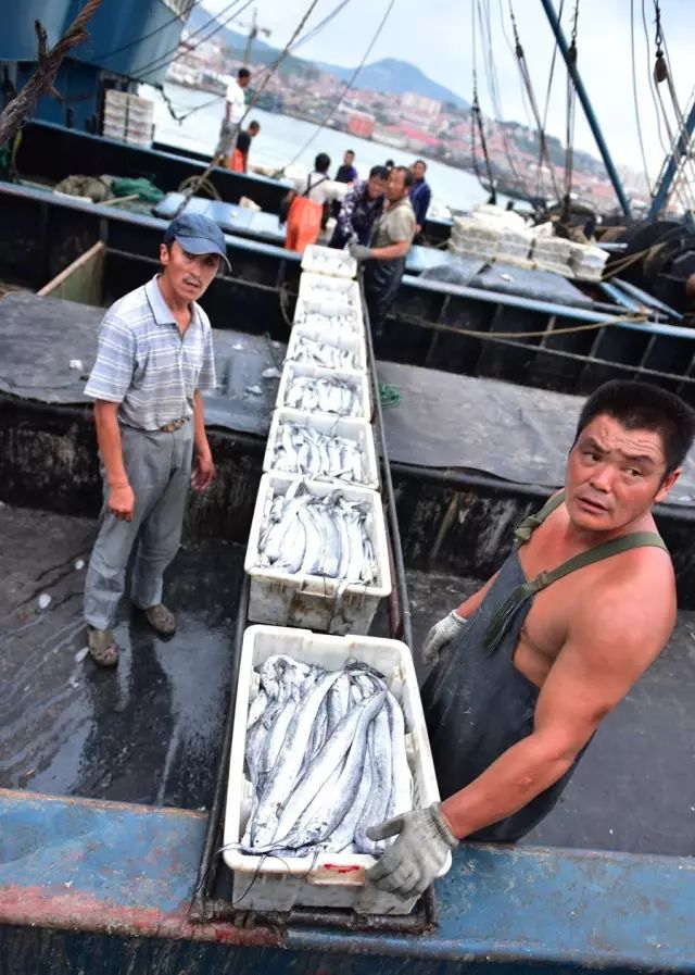 科普厦门海鲜市场,厦门哪里海鲜批发市场海鲜便宜