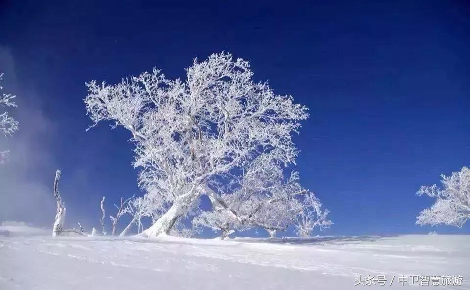 再过9天，中卫人就能休假133天！然而除夕前一天竟然是……