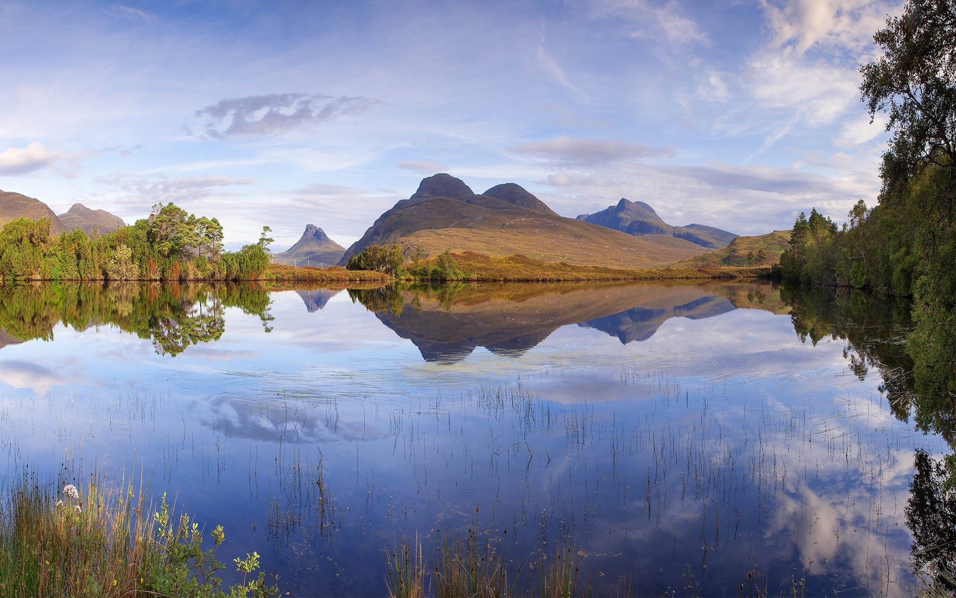 家里的鱼缸位置摆放有什么讲究,家里鱼缸摆放位置正确方法