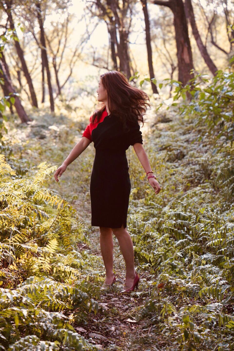 温州的春天有哪些特点,温州春夏秋冬