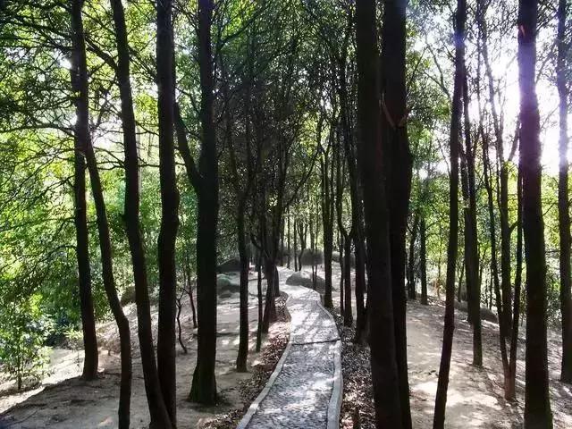别再跟我说“母鸡”去哪玩！广州48个一日游免费景点推荐！