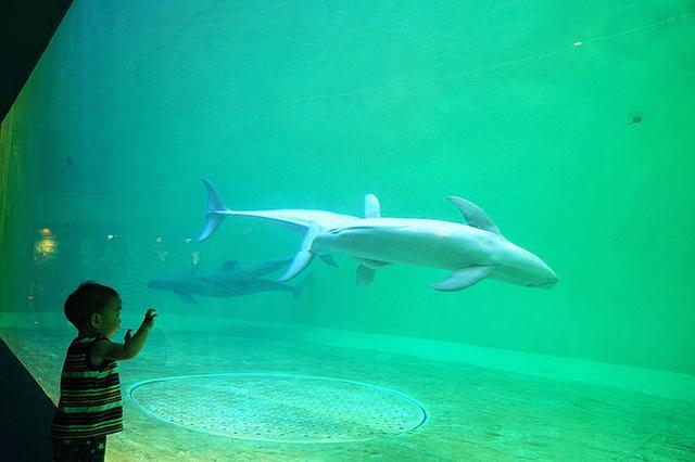 日本关西夏日赏——今夕传媒旅行家出品