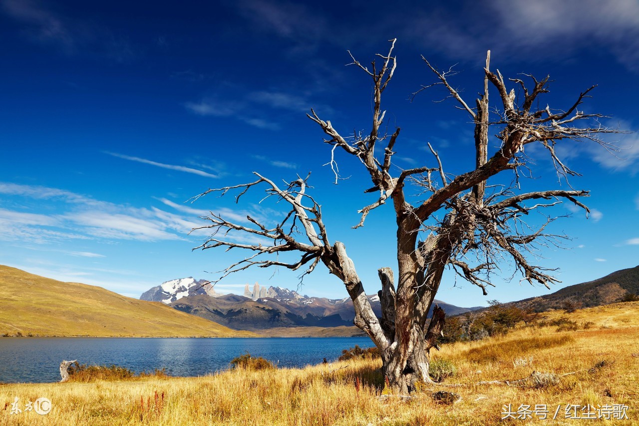 云南女诗人,诗歌女诗人