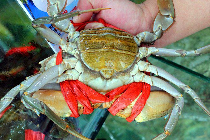 带父母去三亚游玩攻略,爸妈三亚旅游攻略