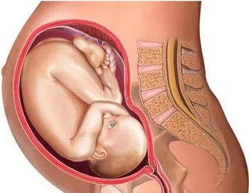 吸食*毒冰**、*古麻**等后还能生小孩吗？