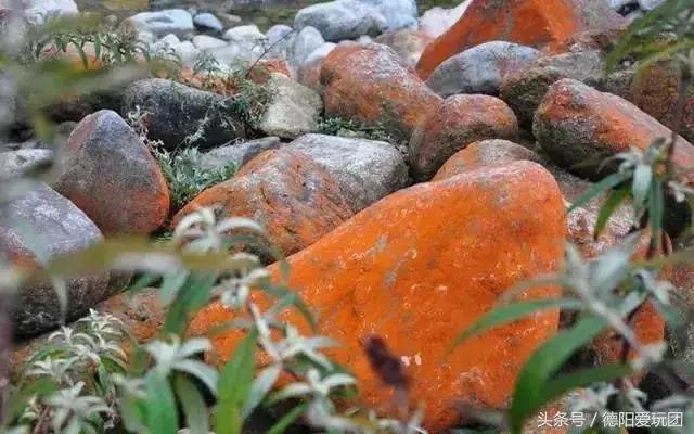 德阳爱玩团：雅安有个小县城要逆天！满足你所有的幻想