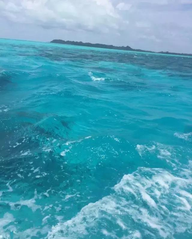 帕劳归来不看海视频,帕劳归来不看海