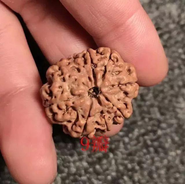 怎样区分打药的金刚菩提,金刚菩提怎么鉴别值钱