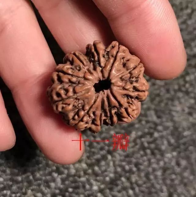 怎样区分打药的金刚菩提,金刚菩提怎么鉴别值钱